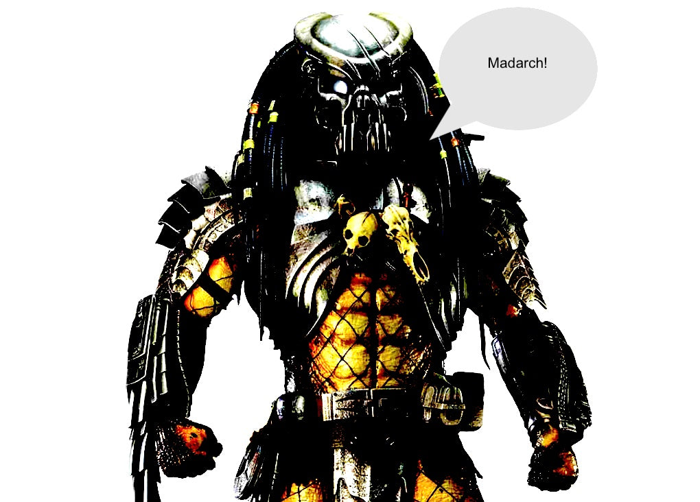 Predator – The Joy Formidable