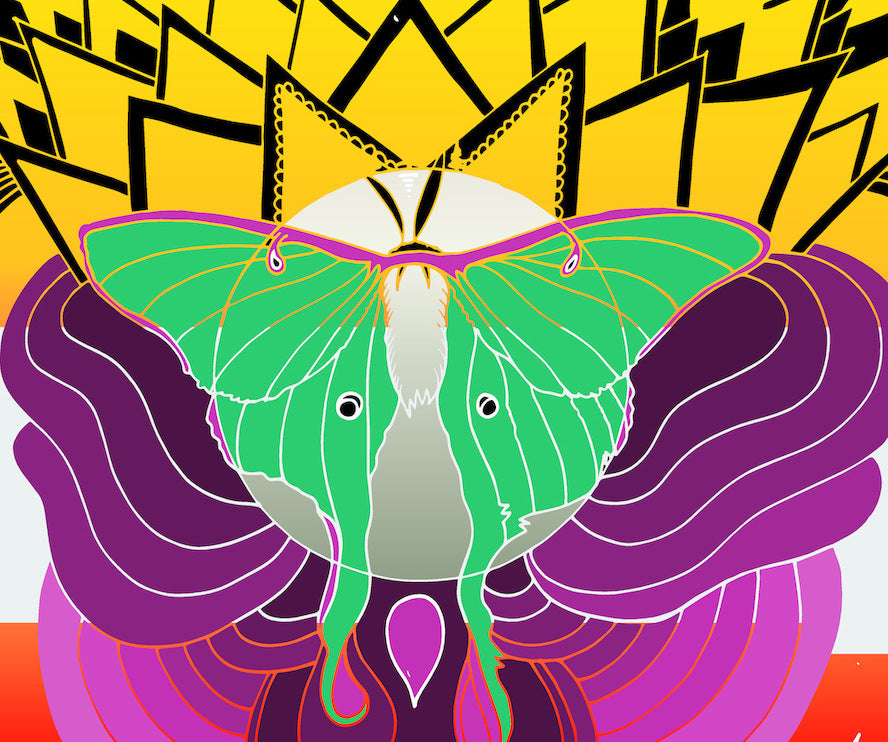 The Joy Formidable Austere サイン入り デビュー7\" The Joy Formidable Austere サイン入り デビュー7