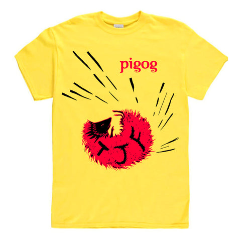 Pigog