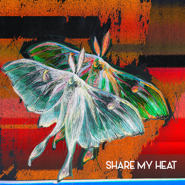 Share My Heat – The Joy Formidable