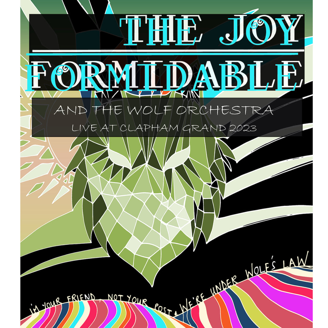 Music | The Joy Formidable