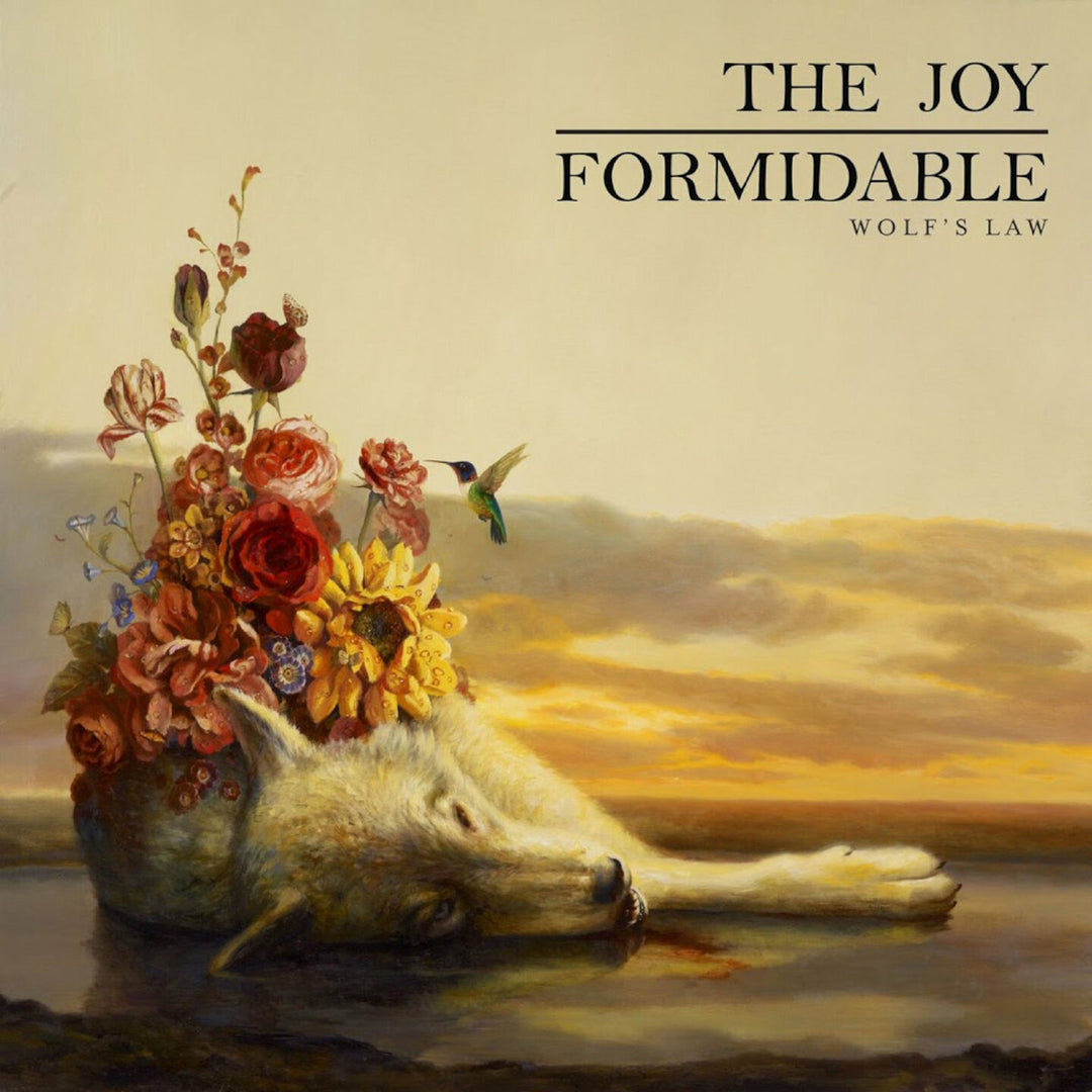 All Albums | The Joy Formidable