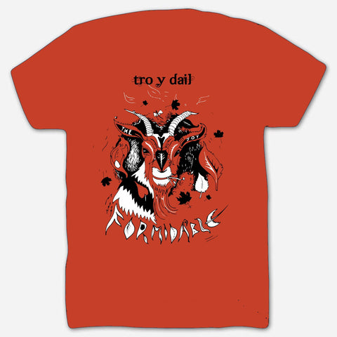 Tro y Dail